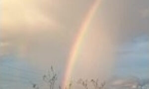 RAINBOW, LANDSCAPES - MATURE MAN SHOWS HIS BLACK HOLE WITH HIS MILK SUCK, WATCH IT UNTIL THE END