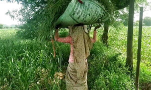 Brother-in-law fucks Rajasthani in millet field